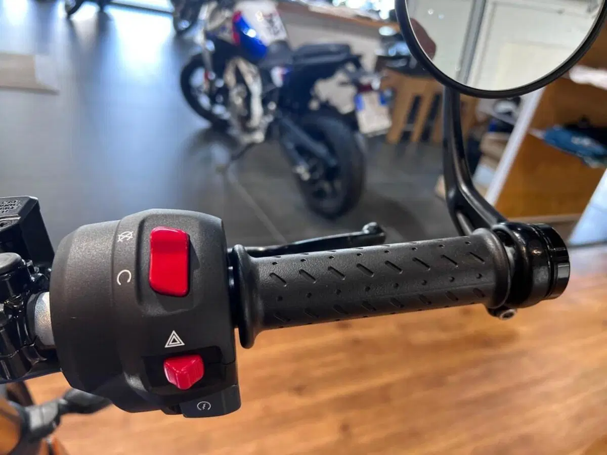 Triumph Speed 400 (2024 - 26) (12)