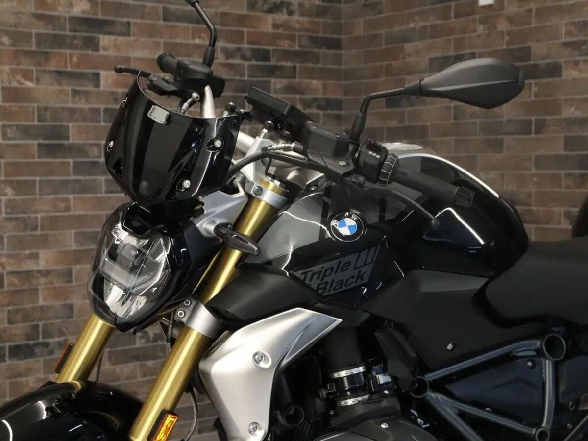 Bmw R 1250 R (2021 - 25) (10)