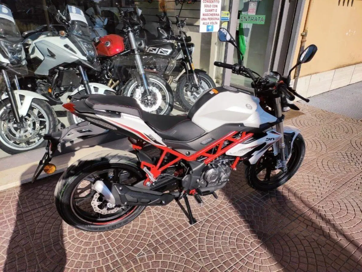 Benelli BN 125 (2021 - 25) (7)