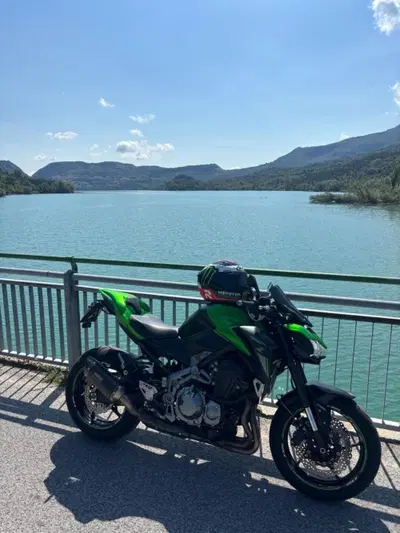 Kawasaki Z 900 Performance (2019) usata