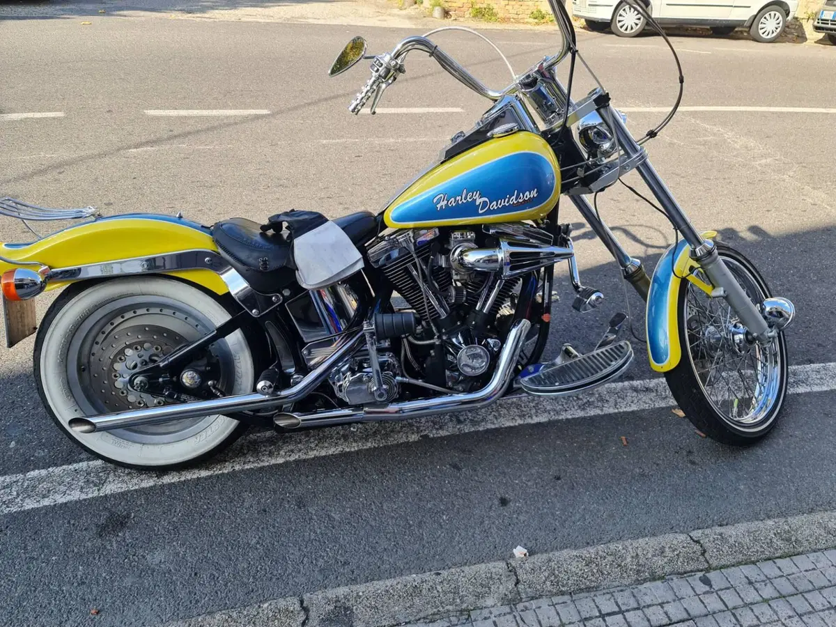 Harley-Davidson 1340 Custom (1989 - 98) (3)