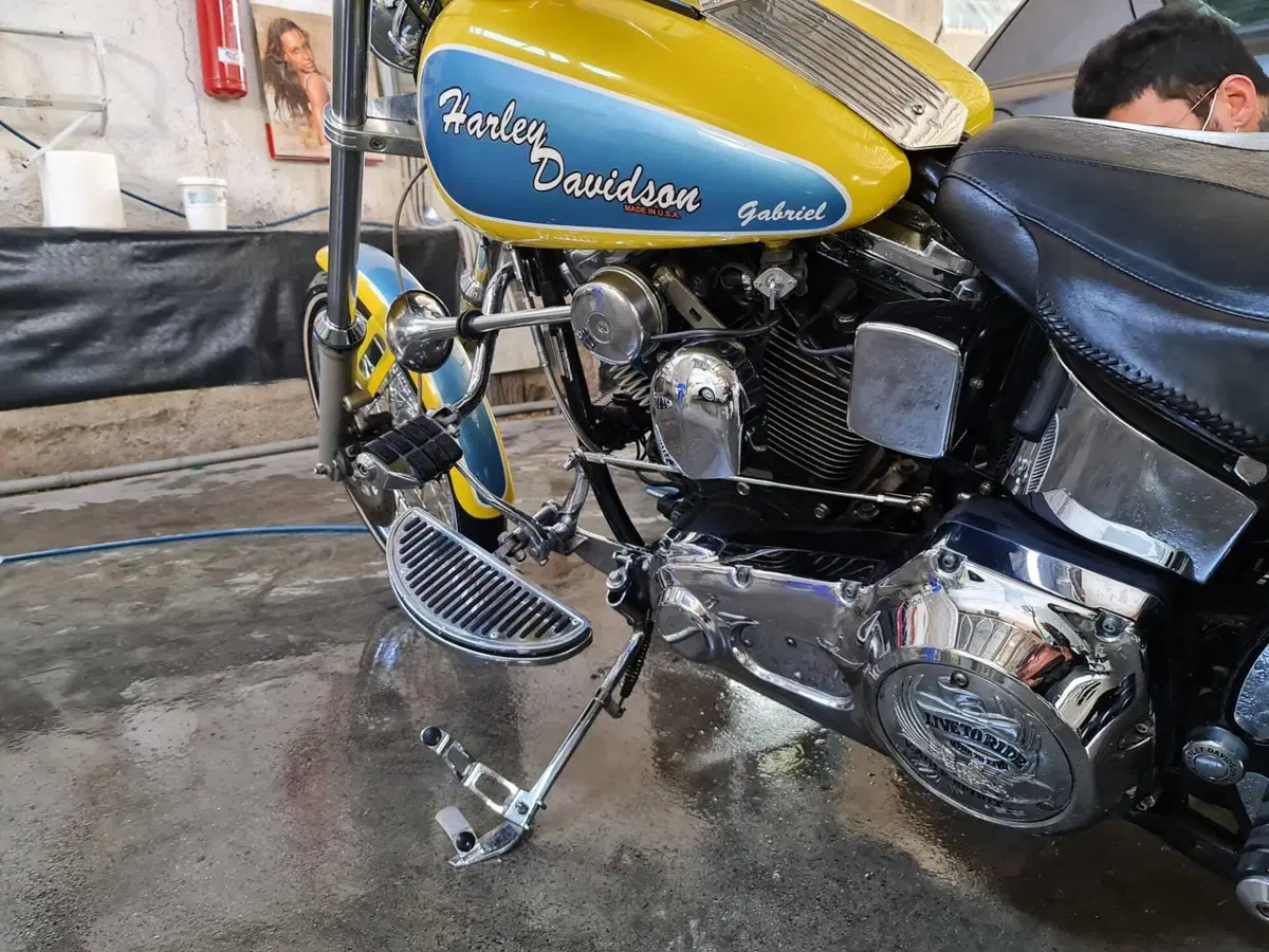 Harley-Davidson 1340 Custom (1989 - 98) (4)