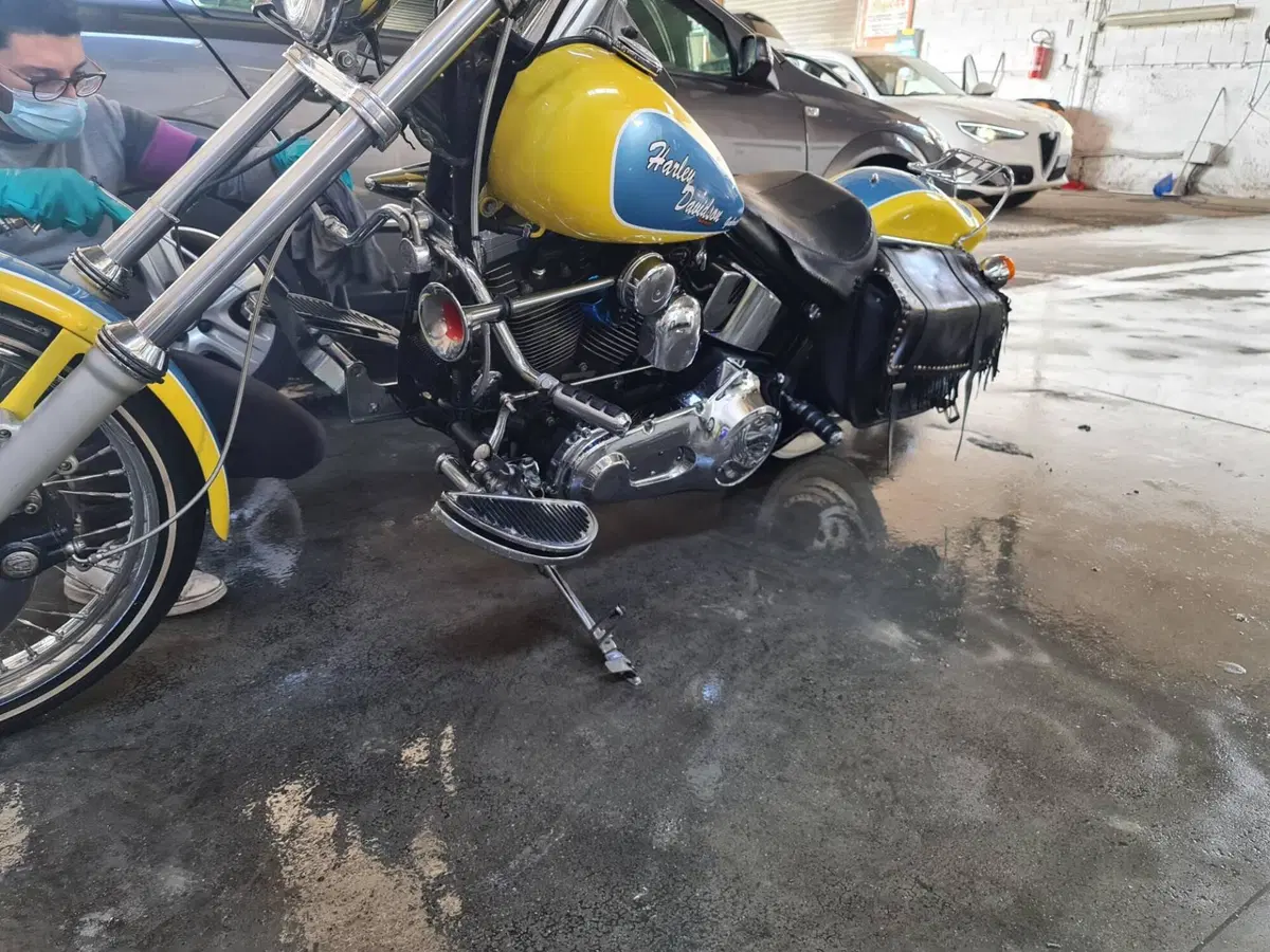 Harley-Davidson 1340 Custom (1989 - 98) (5)