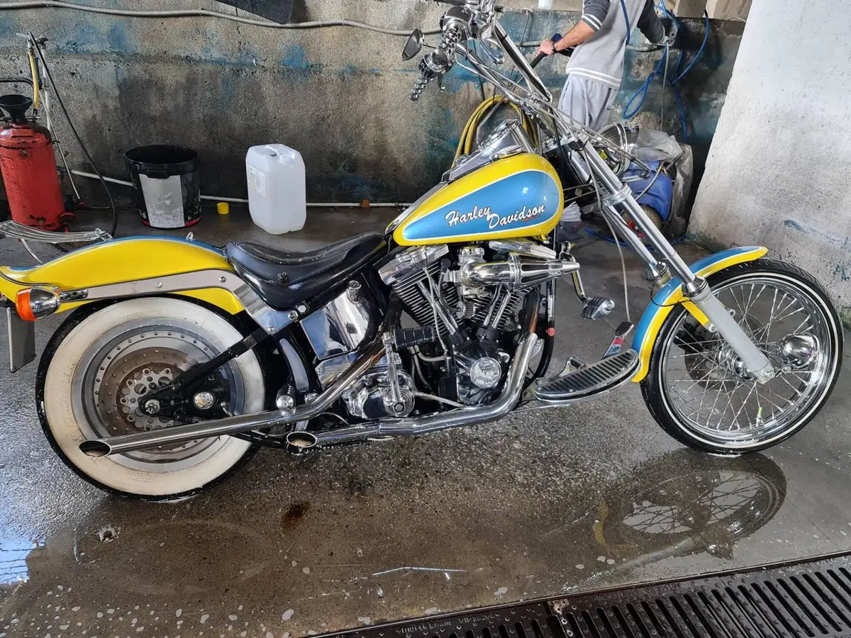 Harley-Davidson 1340 Custom (1989 - 98) (7)
