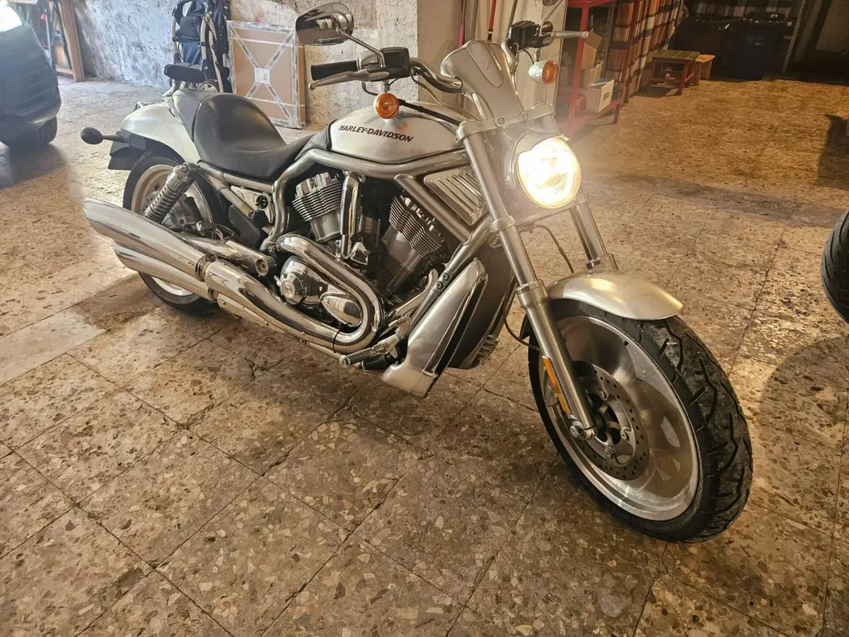 Harley-Davidson 1130 V-Rod (2006) - VRSCA (3)