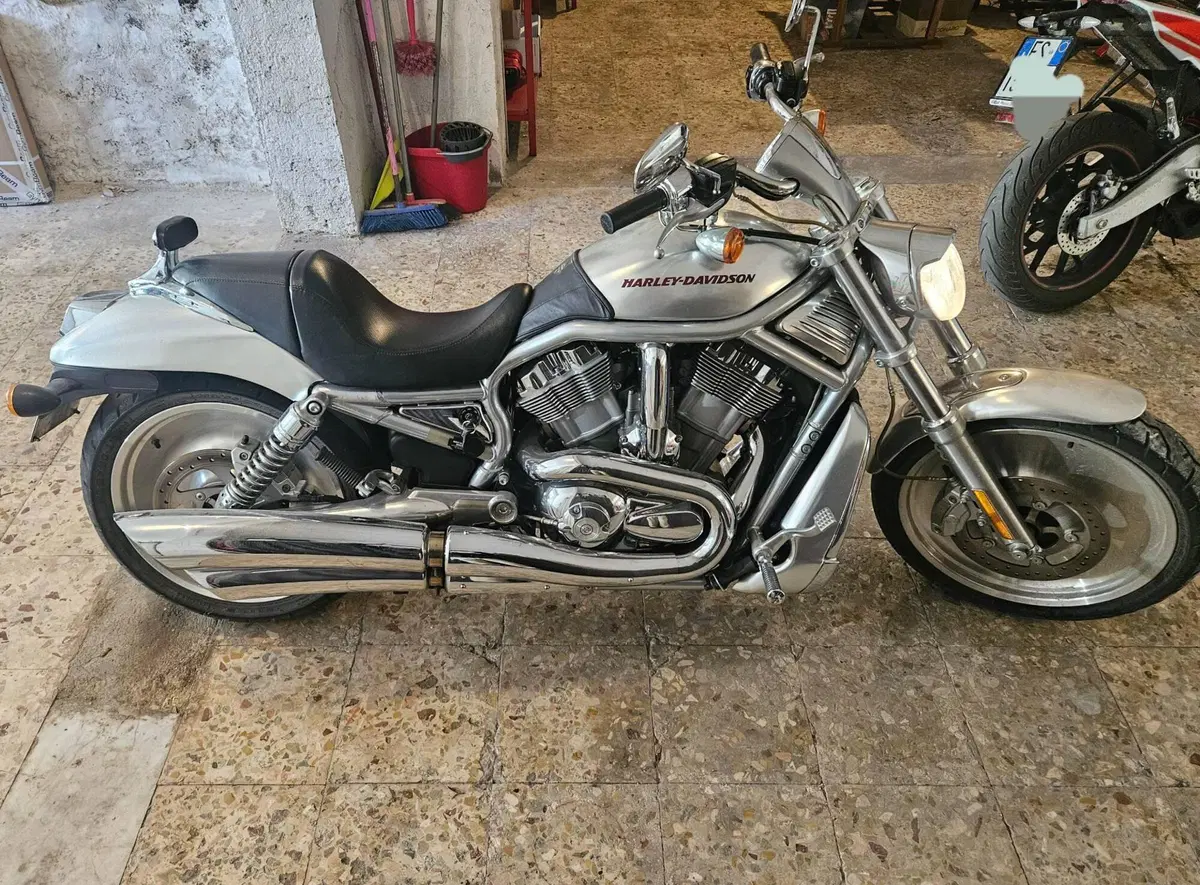Harley-Davidson 1130 V-Rod (2006) - VRSCA (4)