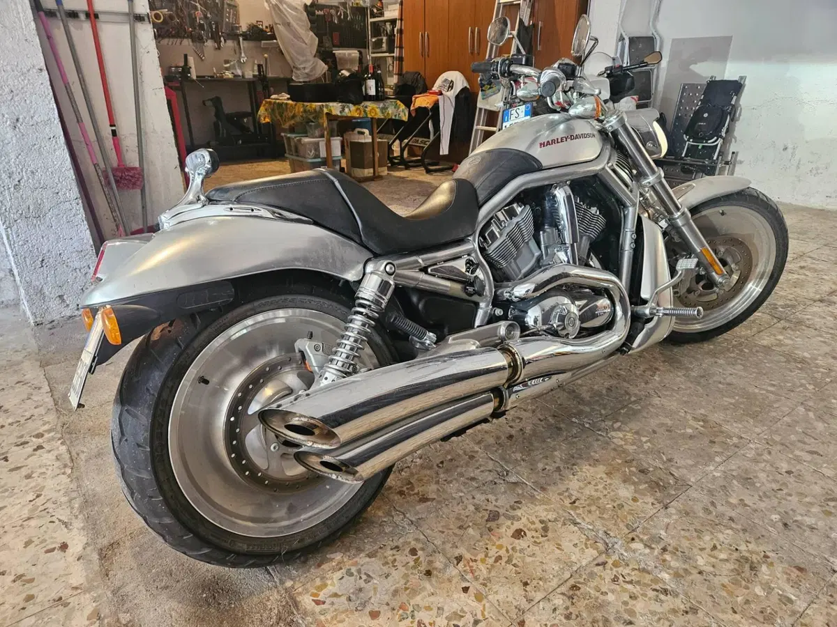 Harley-Davidson 1130 V-Rod (2006) - VRSCA (5)