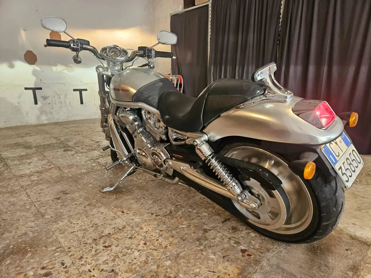 Harley-Davidson 1130 V-Rod (2006) - VRSCA (6)