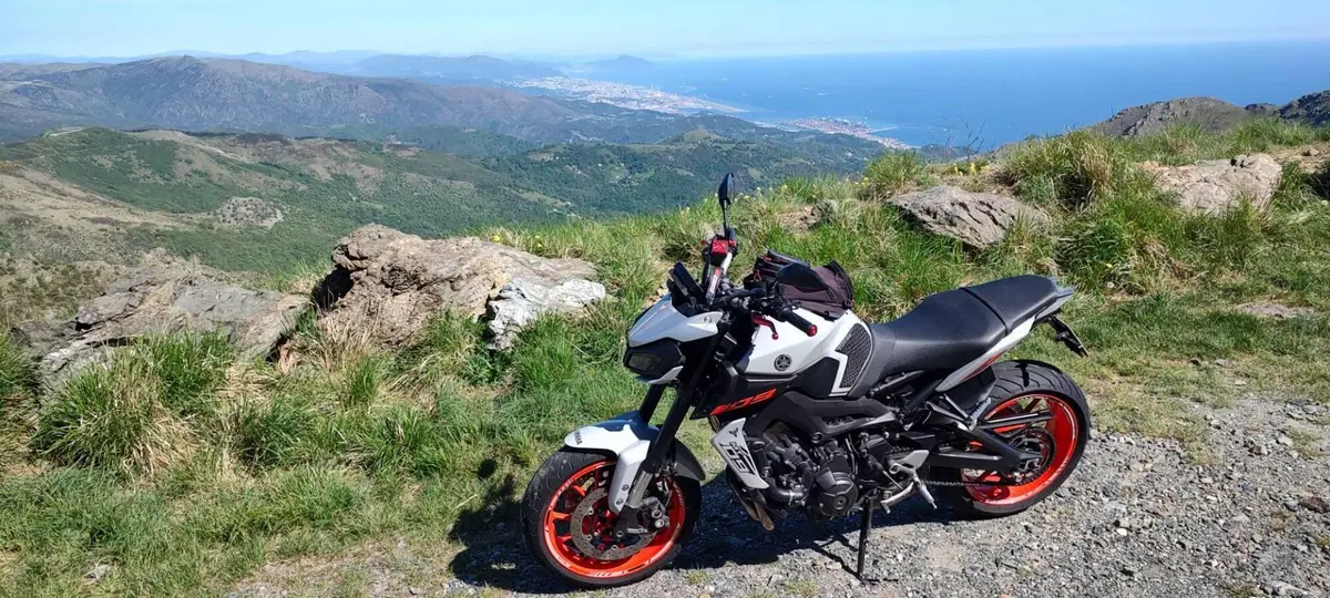 Yamaha MT-09 (2017 - 20) (2)