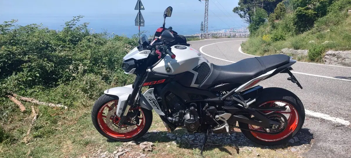 Yamaha MT-09 (2017 - 20) (15)