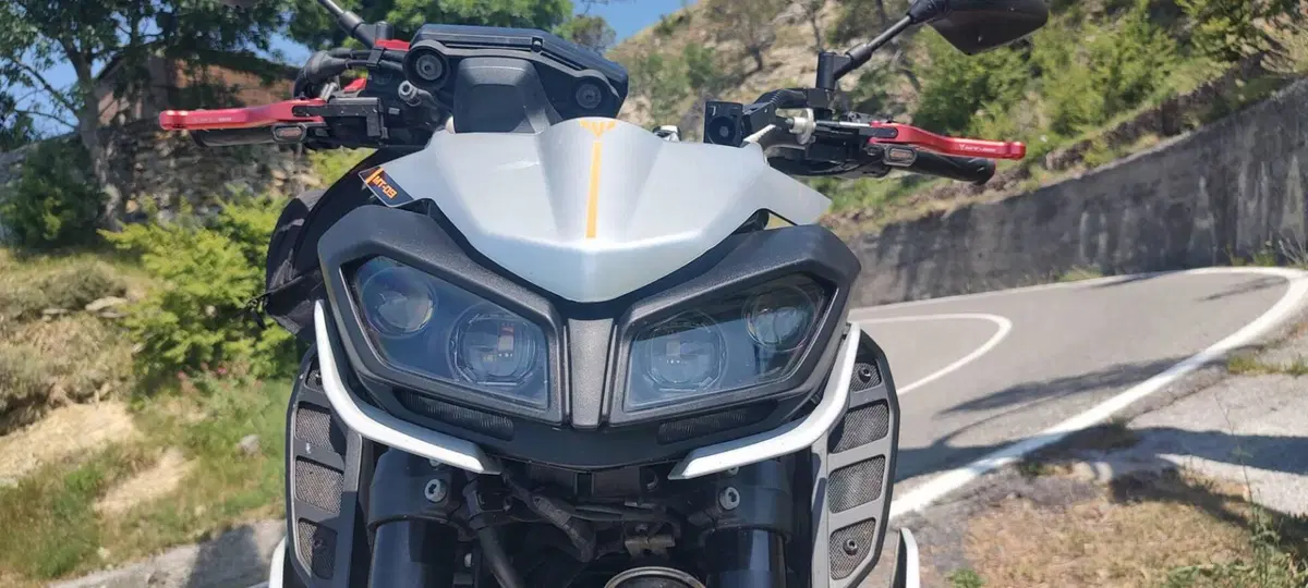 Yamaha MT-09 (2017 - 20) (16)