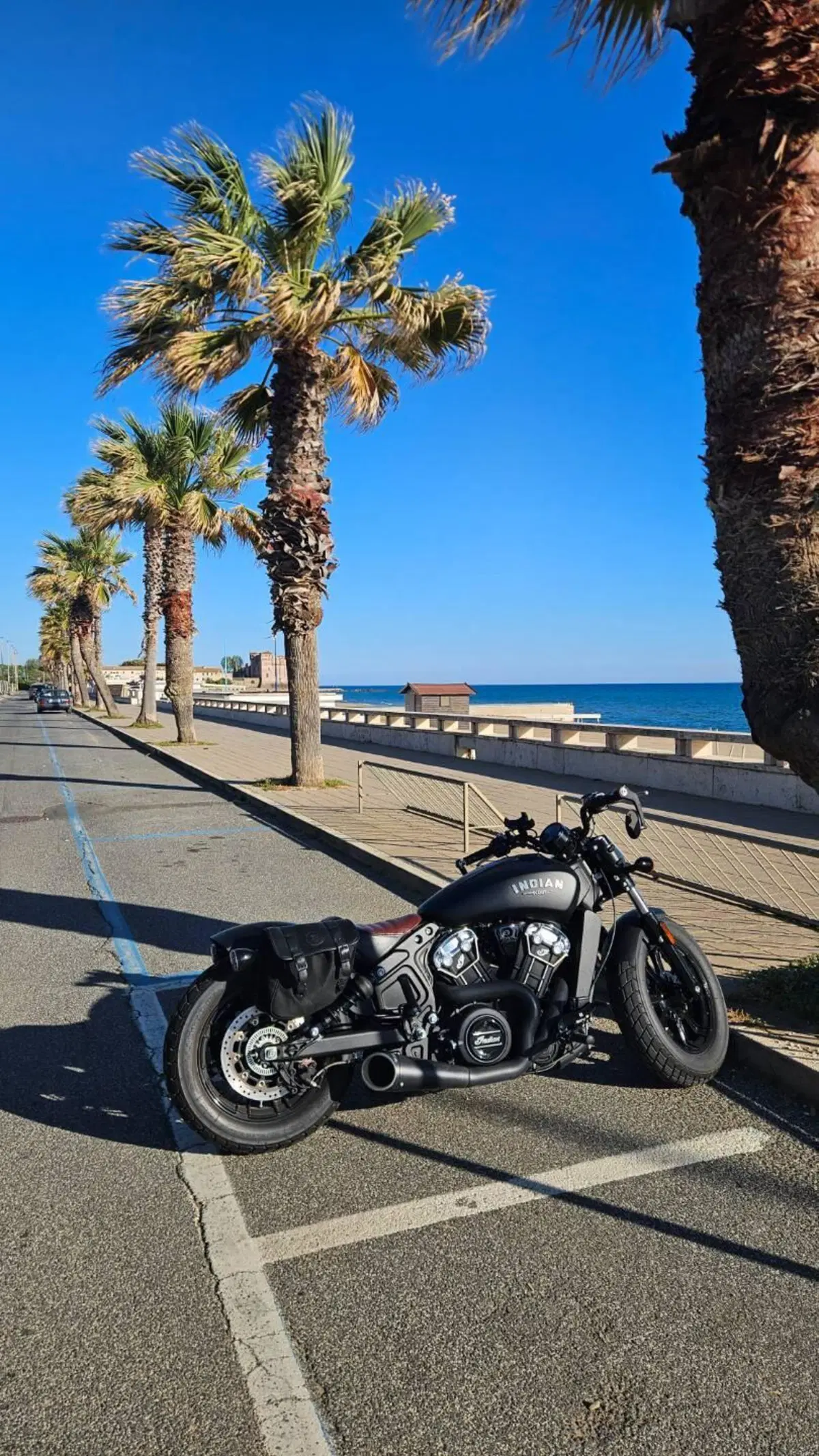 Indian Scout 1133 (2021 - 25) (4)