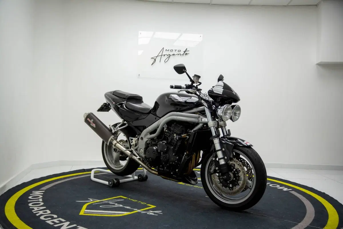 Triumph Speed Triple 955 (2002 - 04) (8)