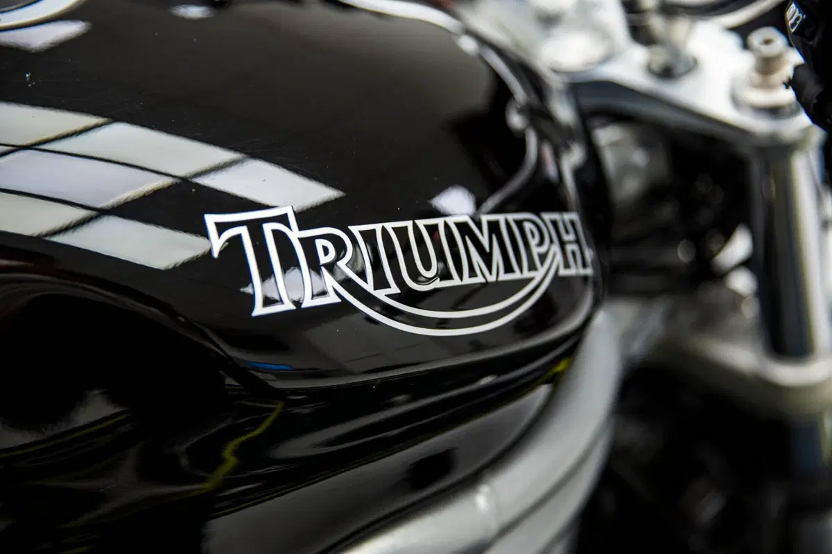 Triumph Speed Triple 955 (2002 - 04) (9)