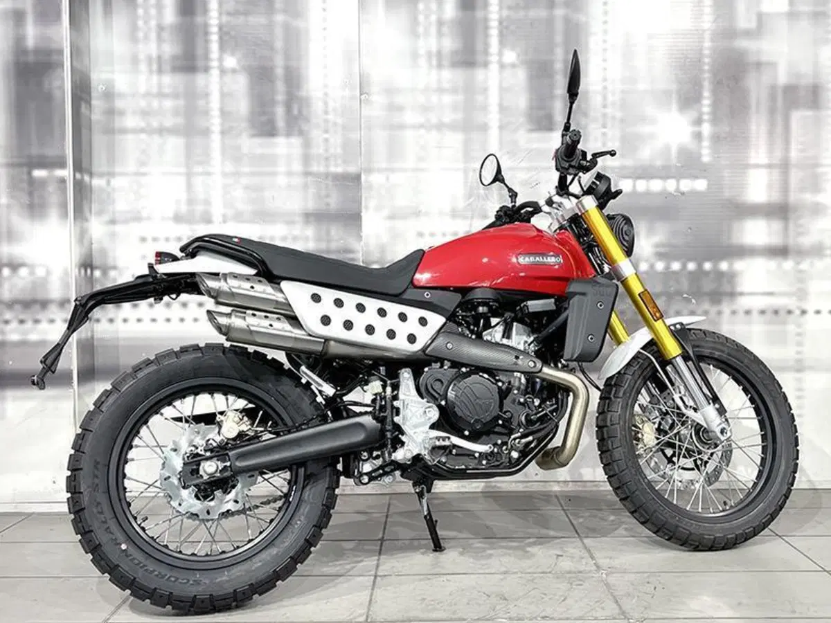 Fantic Motor Caballero 500 Scrambler (2025 - 26) (8)