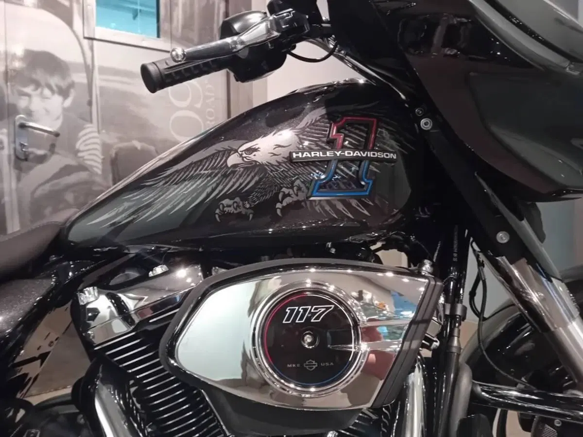 Harley-Davidson Street Glide (2024 - 26) (5)