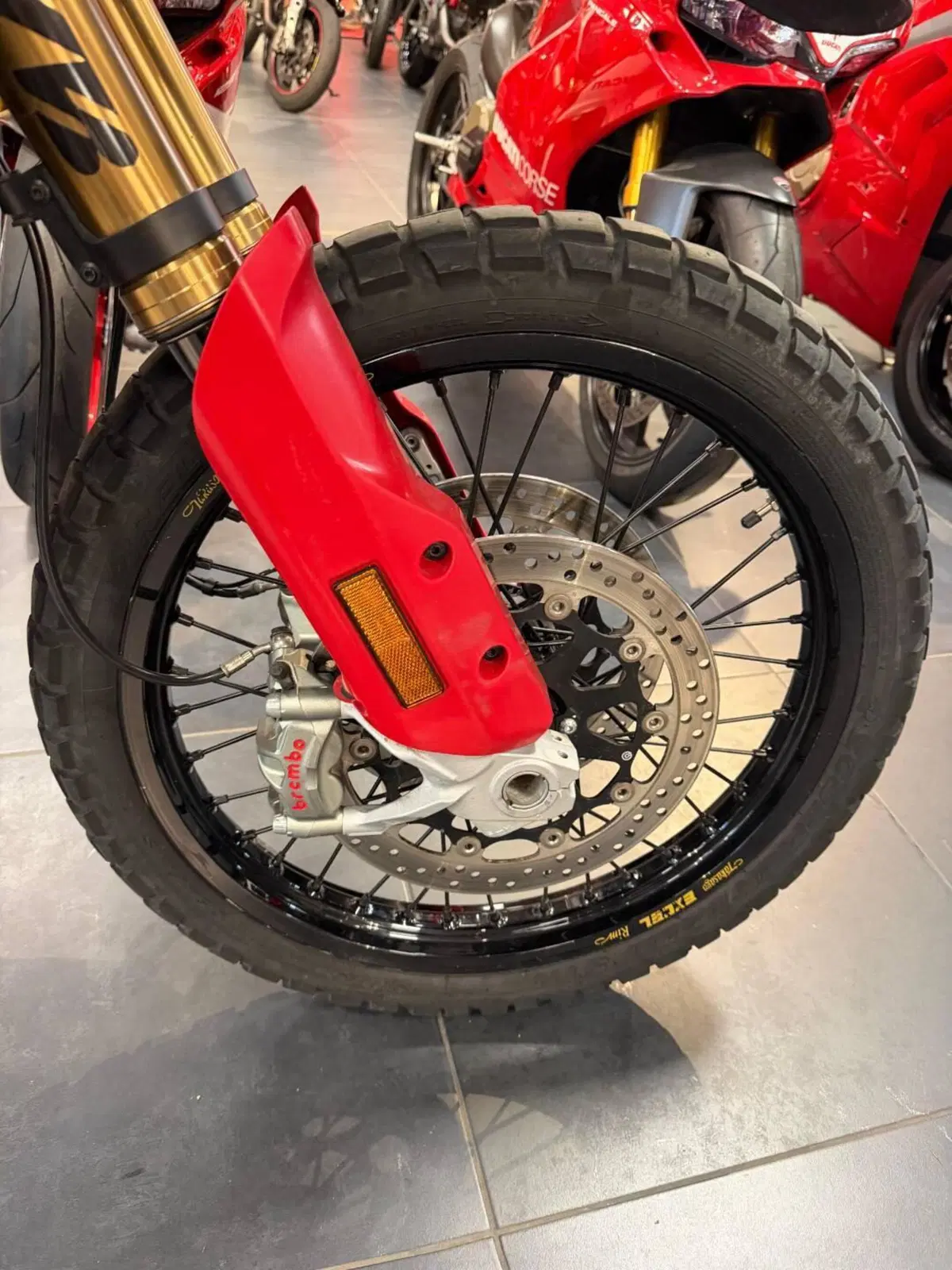 Ducati DesertX Rally (2024 - 25) (9)