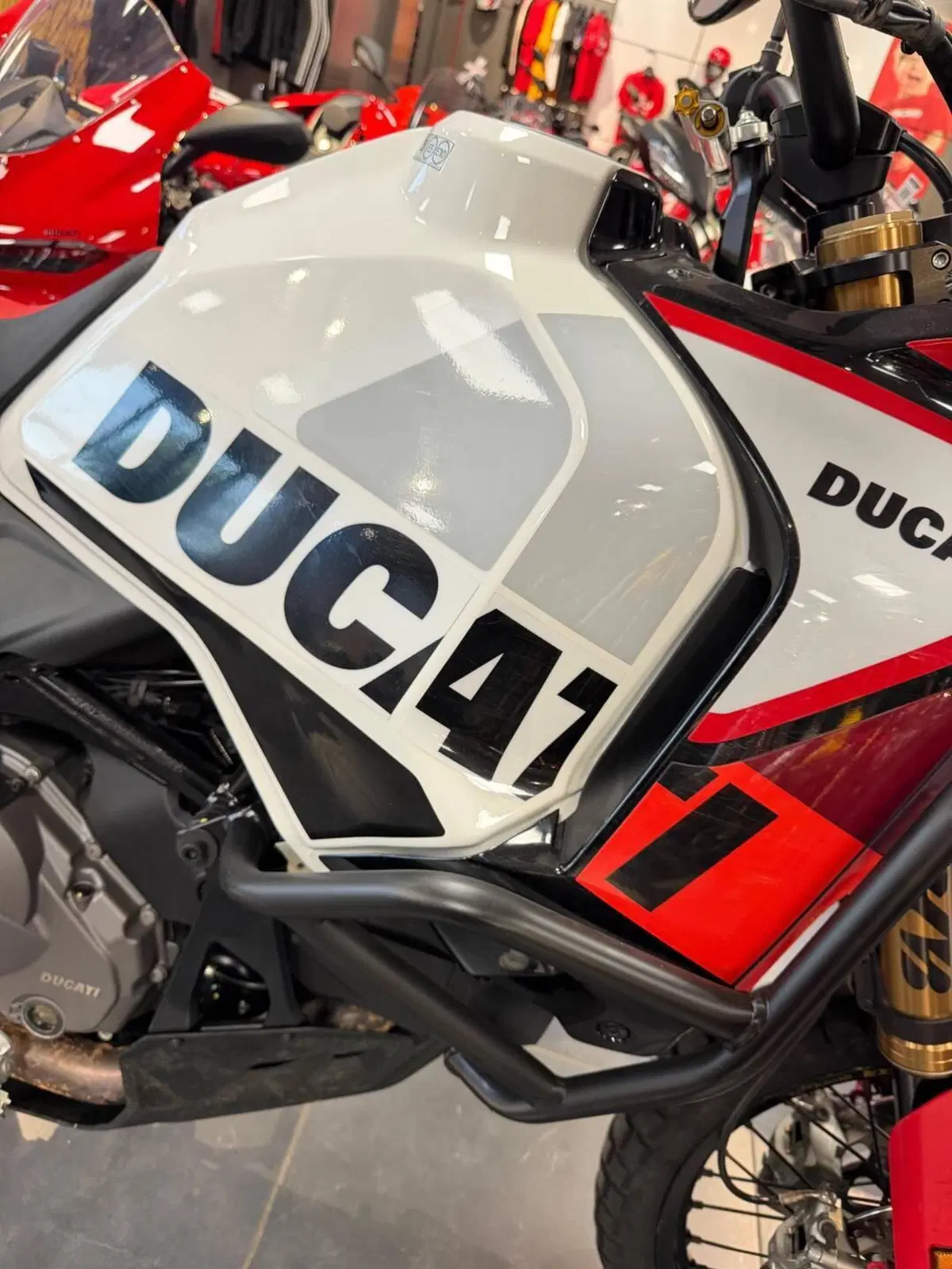 Ducati DesertX Rally (2024 - 25) (4)
