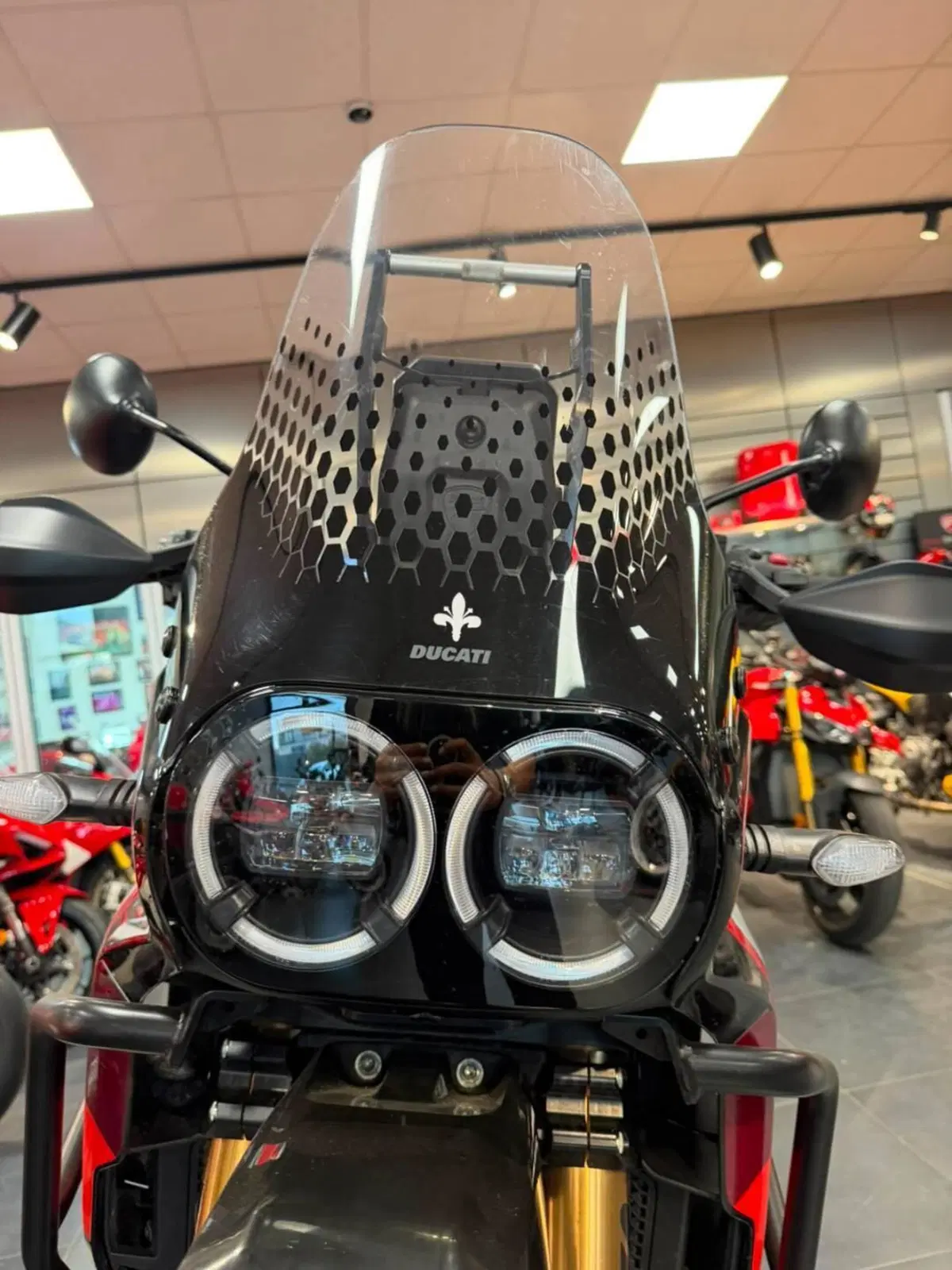 Ducati DesertX Rally (2024 - 25) (7)