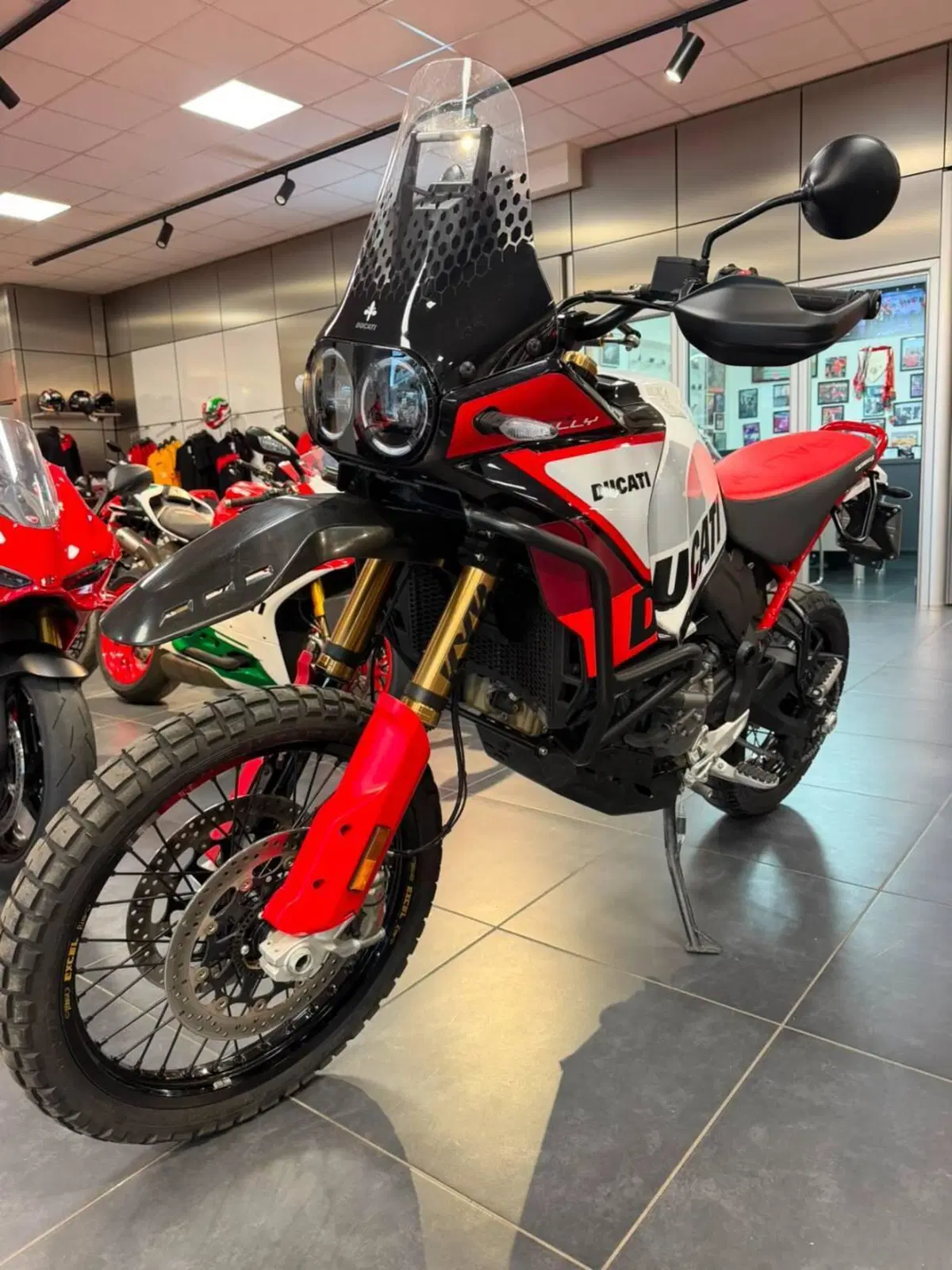 Ducati DesertX Rally (2024 - 25) (11)