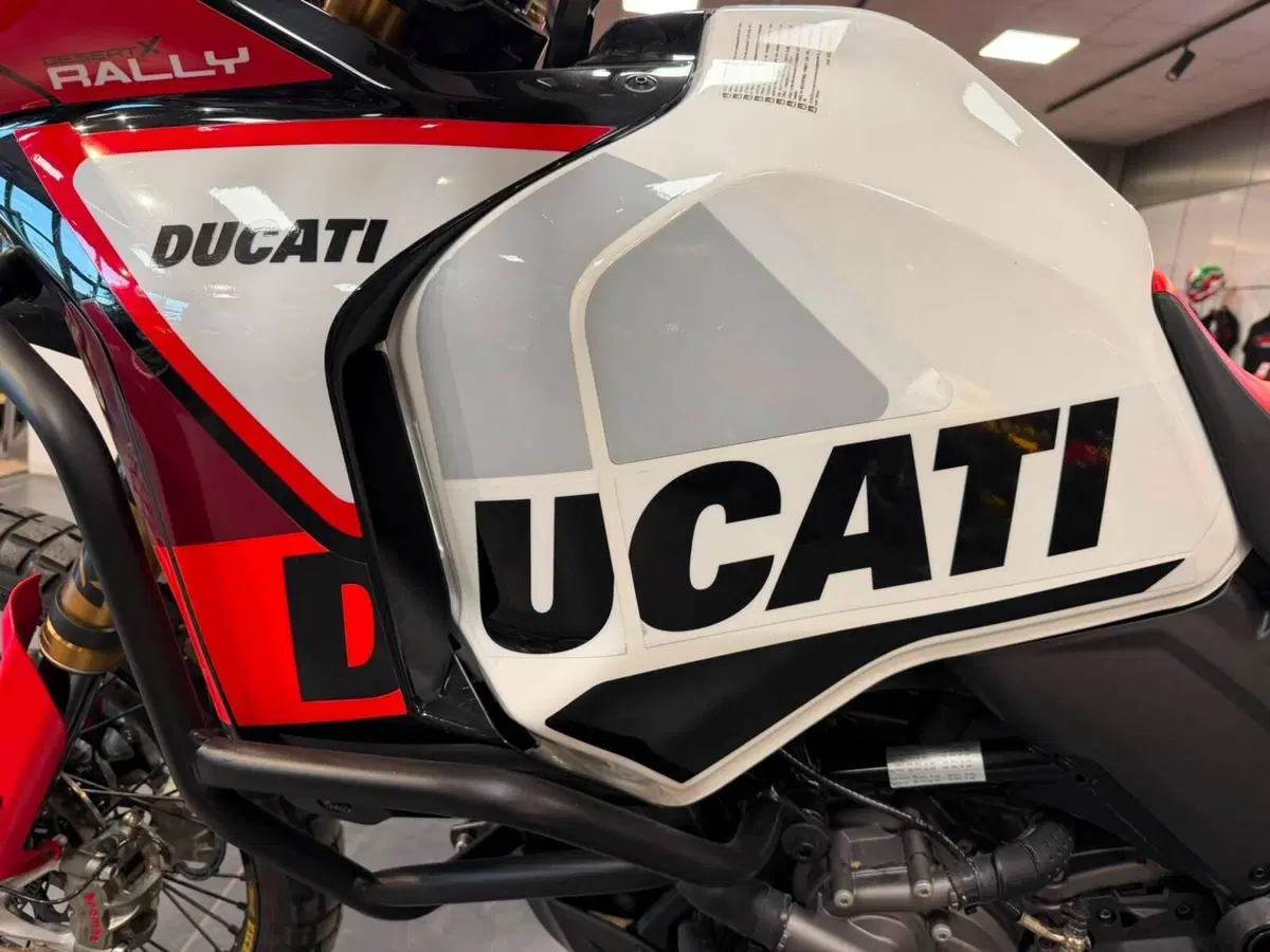 Ducati DesertX Rally (2024 - 25) (14)