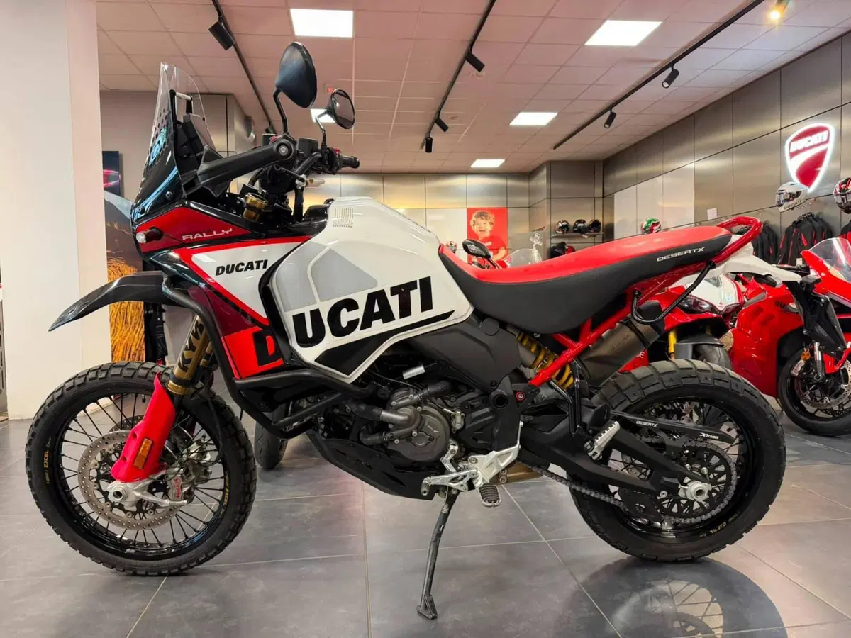 Ducati DesertX Rally (2024 - 25) (2)
