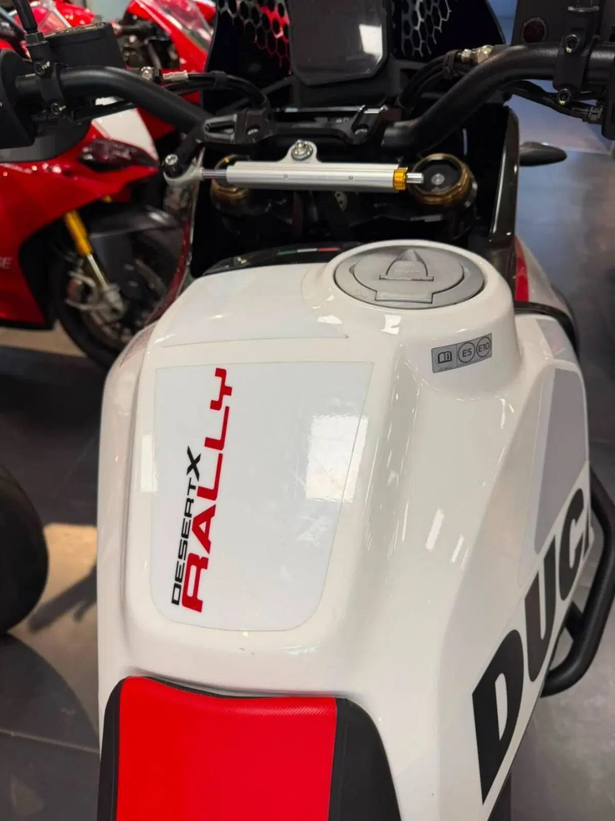 Ducati DesertX Rally (2024 - 25) (16)