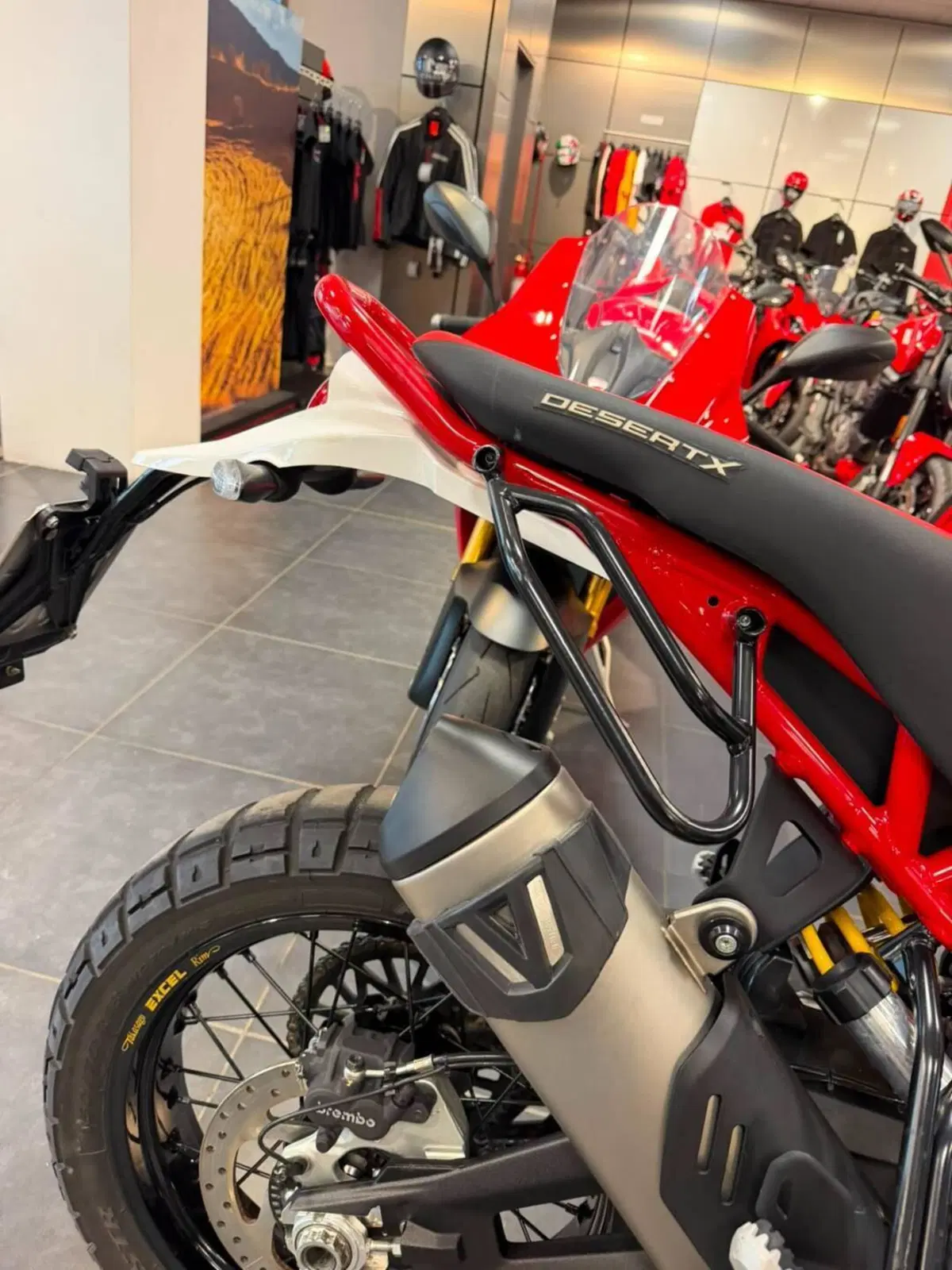 Ducati DesertX Rally (2024 - 25) (8)
