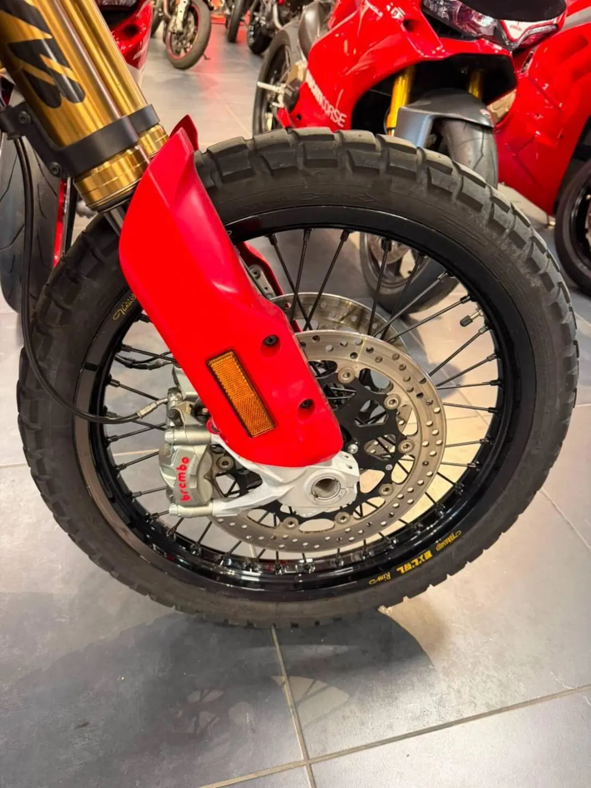 Ducati DesertX Rally (2024 - 25) (19)