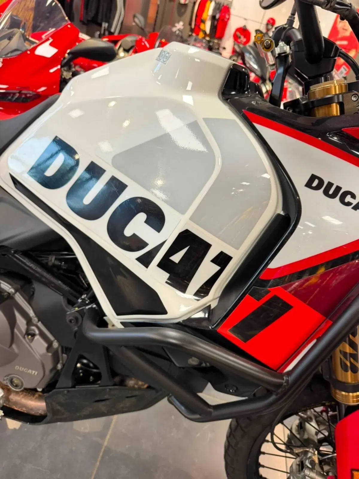 Ducati DesertX Rally (2024 - 25) (6)