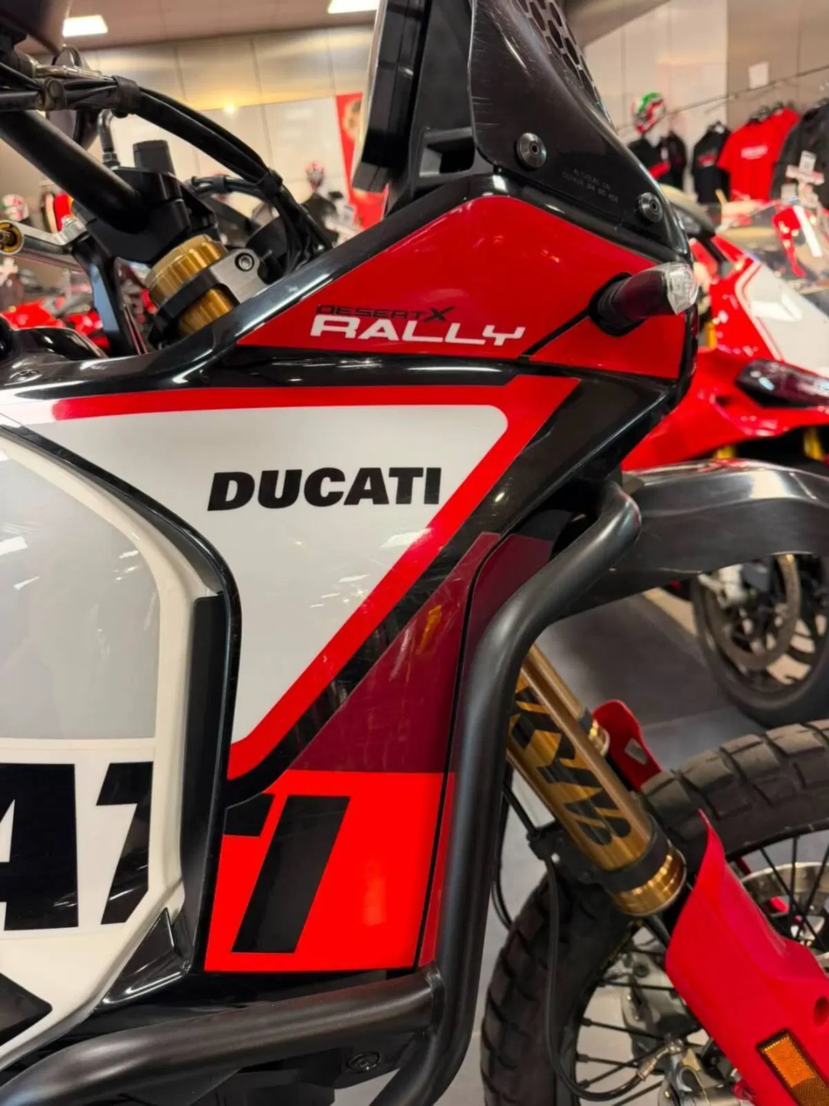 Ducati DesertX Rally (2024 - 25) (20)