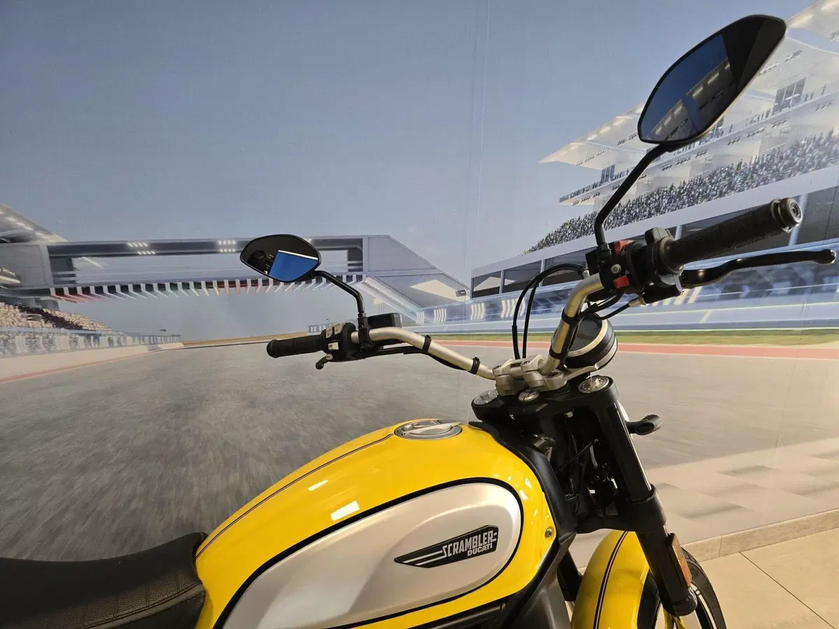 Ducati Scrambler 800 Icon (2021 - 22) (16)