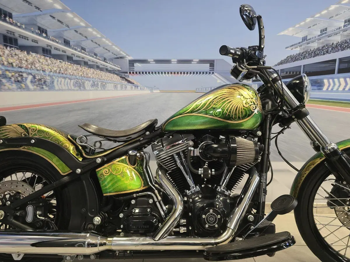 Harley-Davidson 1584 Blackline (2011 - 13) - FXS (10)