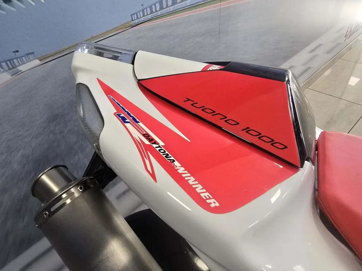 Aprilia Tuono 1000 R (2006 - 10) (14)