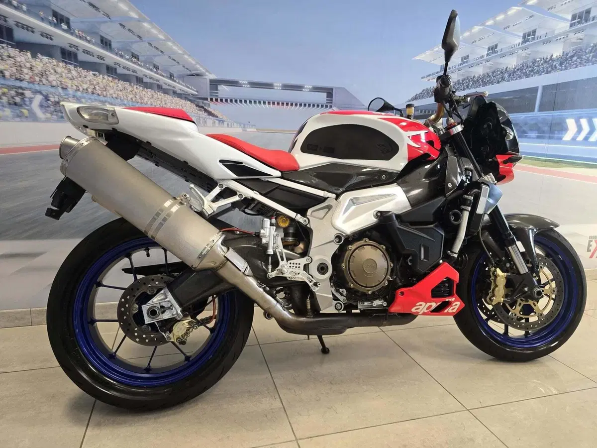 Aprilia Tuono 1000 R (2006 - 10) (16)