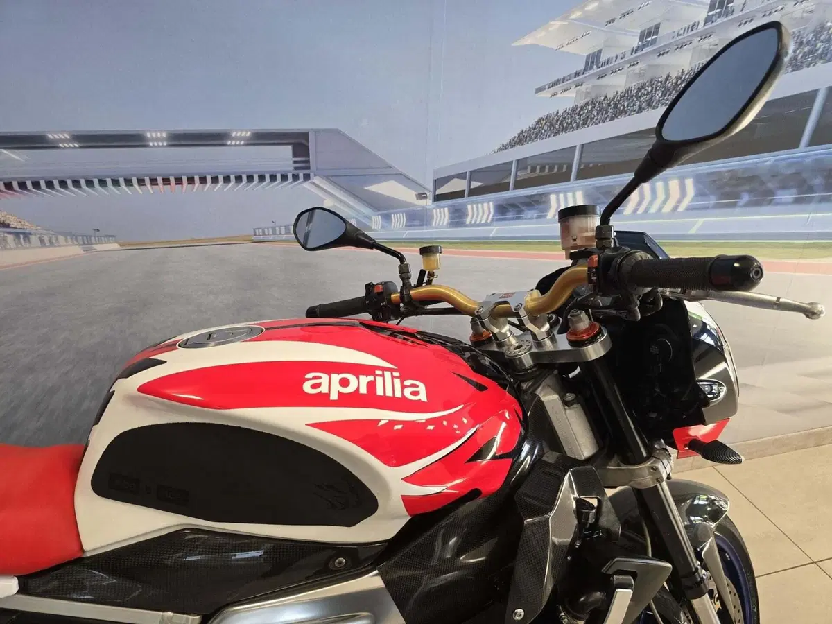 Aprilia Tuono 1000 R (2006 - 10) (19)