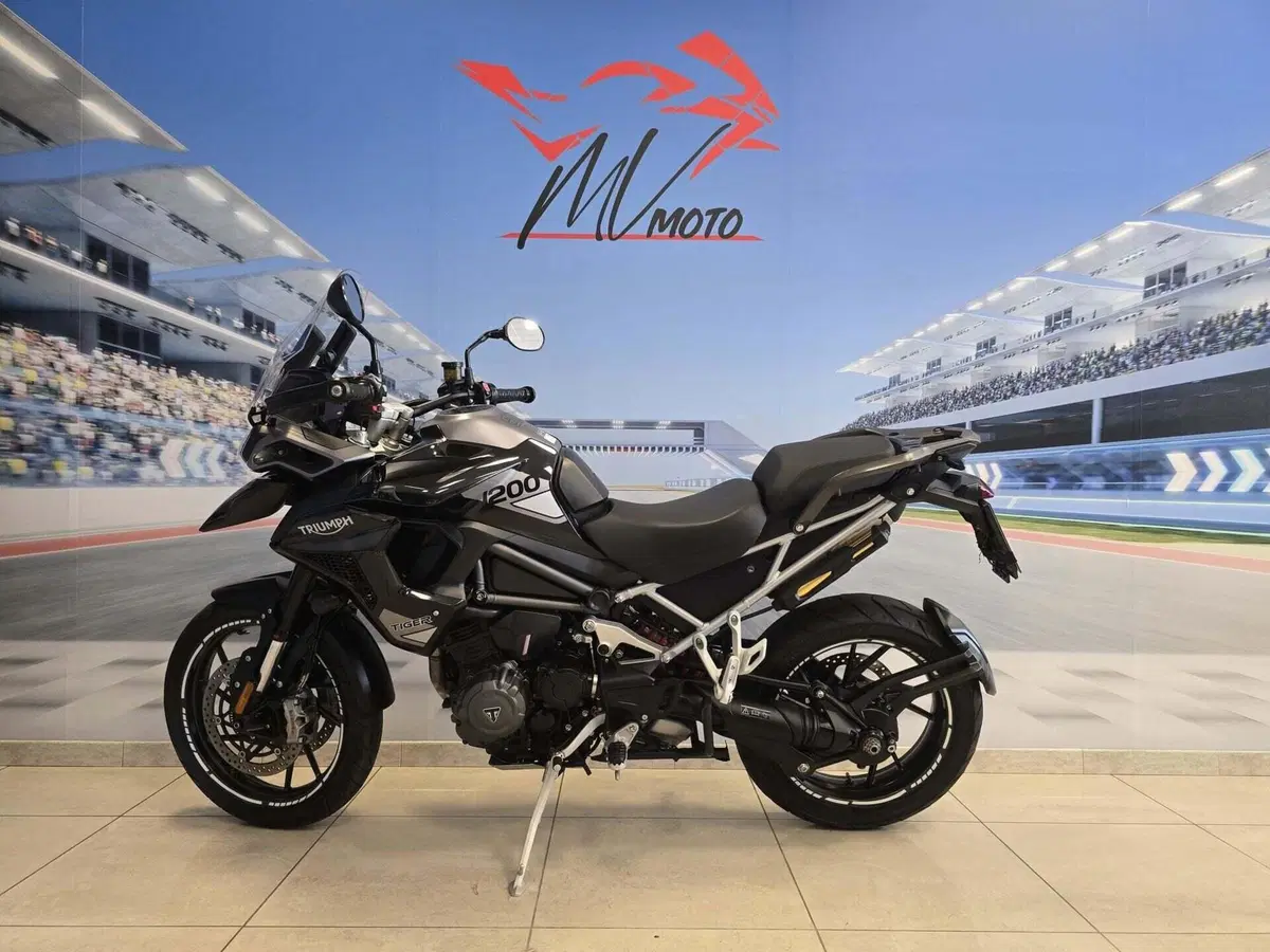 Triumph Tiger 1200 GT Explorer (2022 - 23) (4)