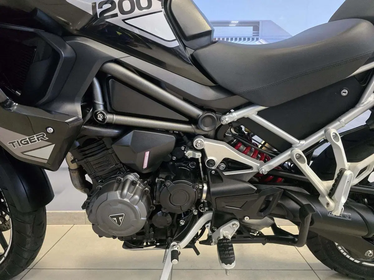 Triumph Tiger 1200 GT Explorer (2022 - 23) (9)