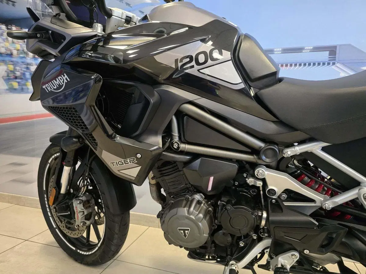 Triumph Tiger 1200 GT Explorer (2022 - 23) (10)
