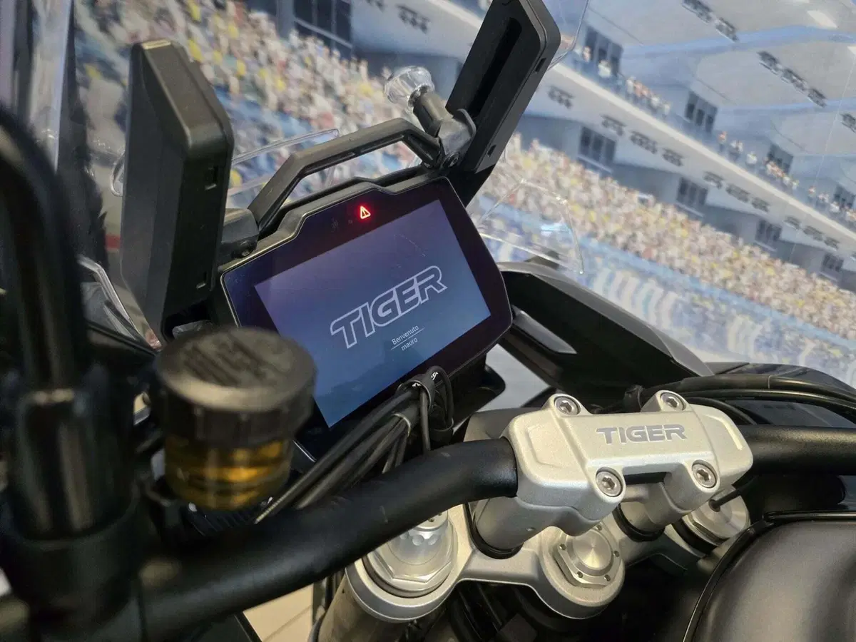 Triumph Tiger 1200 GT Explorer (2022 - 23) (12)