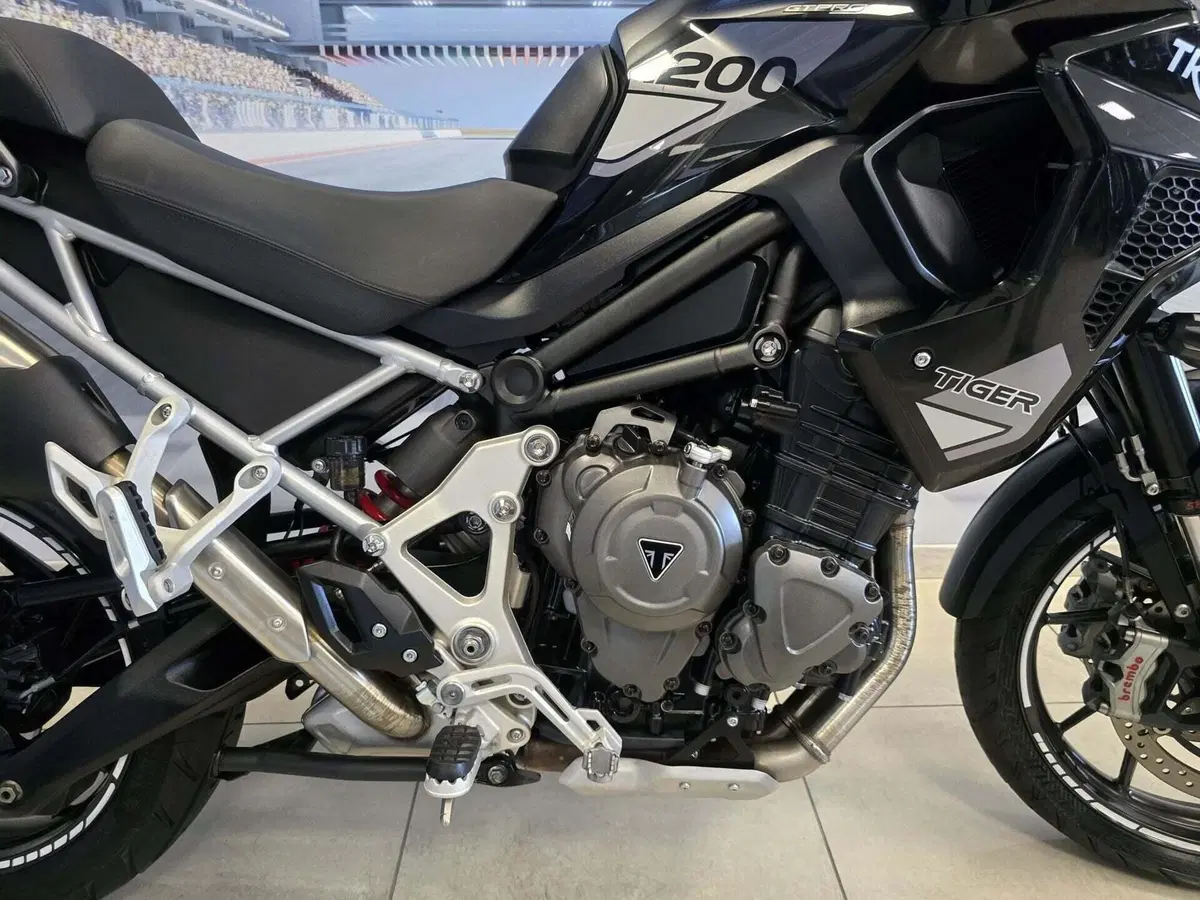 Triumph Tiger 1200 GT Explorer (2022 - 23) (15)
