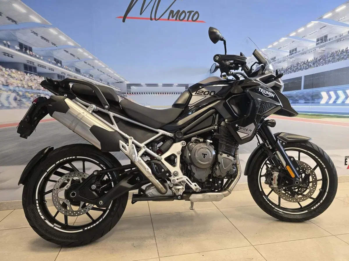 Triumph Tiger 1200 GT Explorer (2022 - 23) (16)