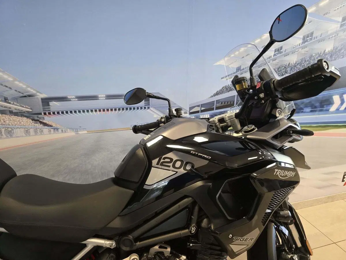 Triumph Tiger 1200 GT Explorer (2022 - 23) (18)