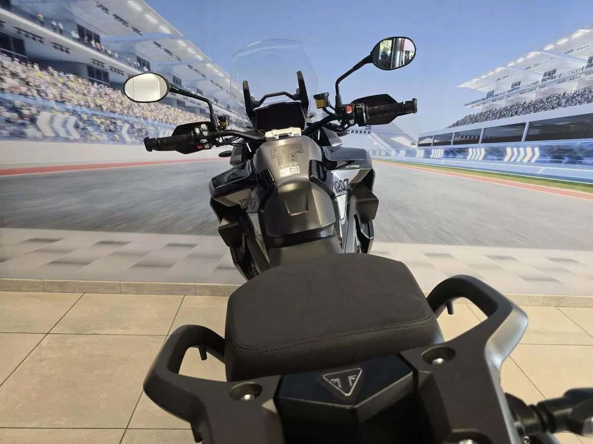 Triumph Tiger 1200 GT Explorer (2022 - 23) (19)