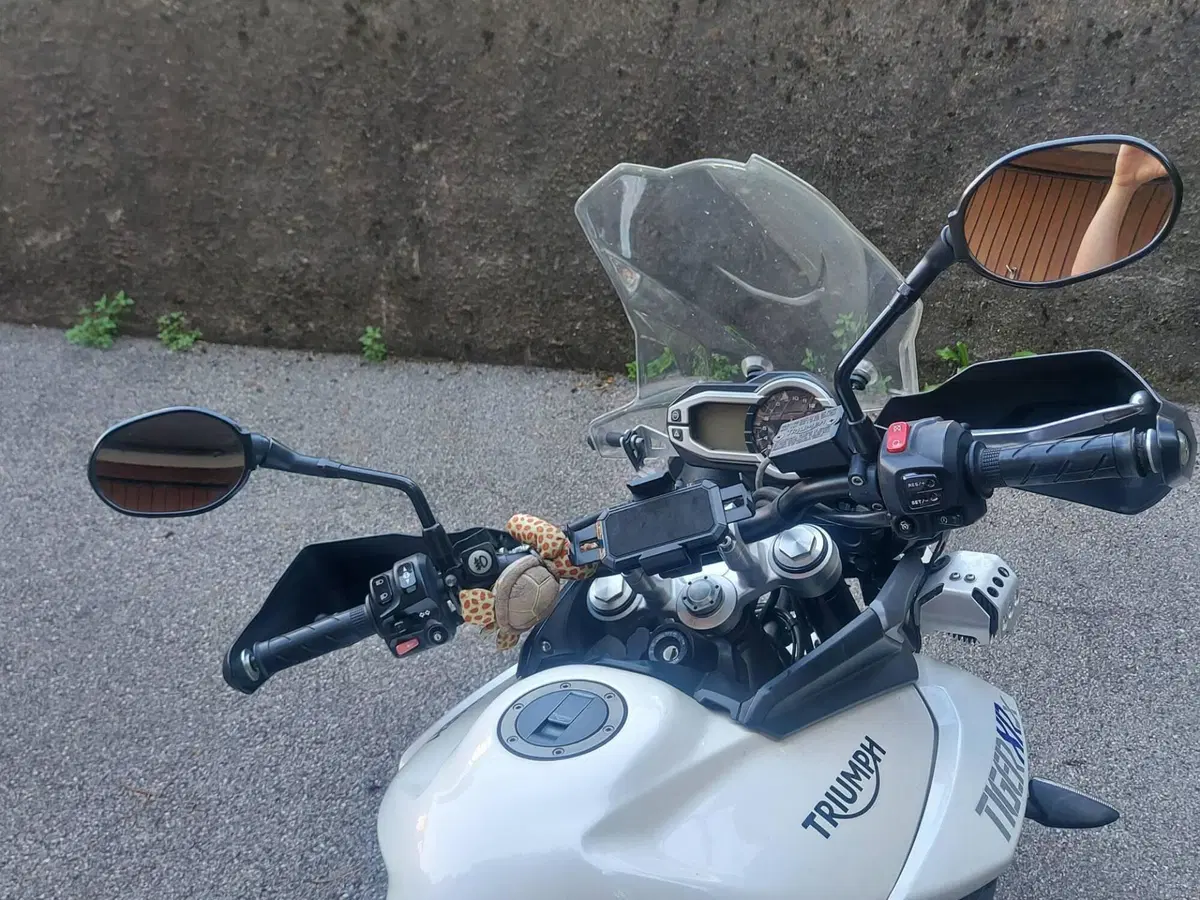 Triumph Tiger 800 XRx (2015 - 17) (5)