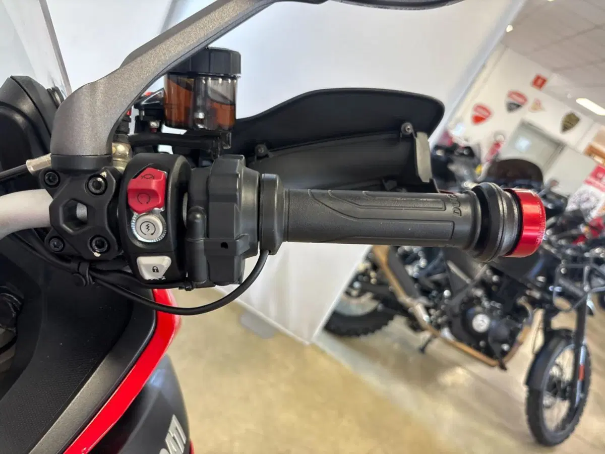 Ducati Multistrada 950 S (2021) (12)