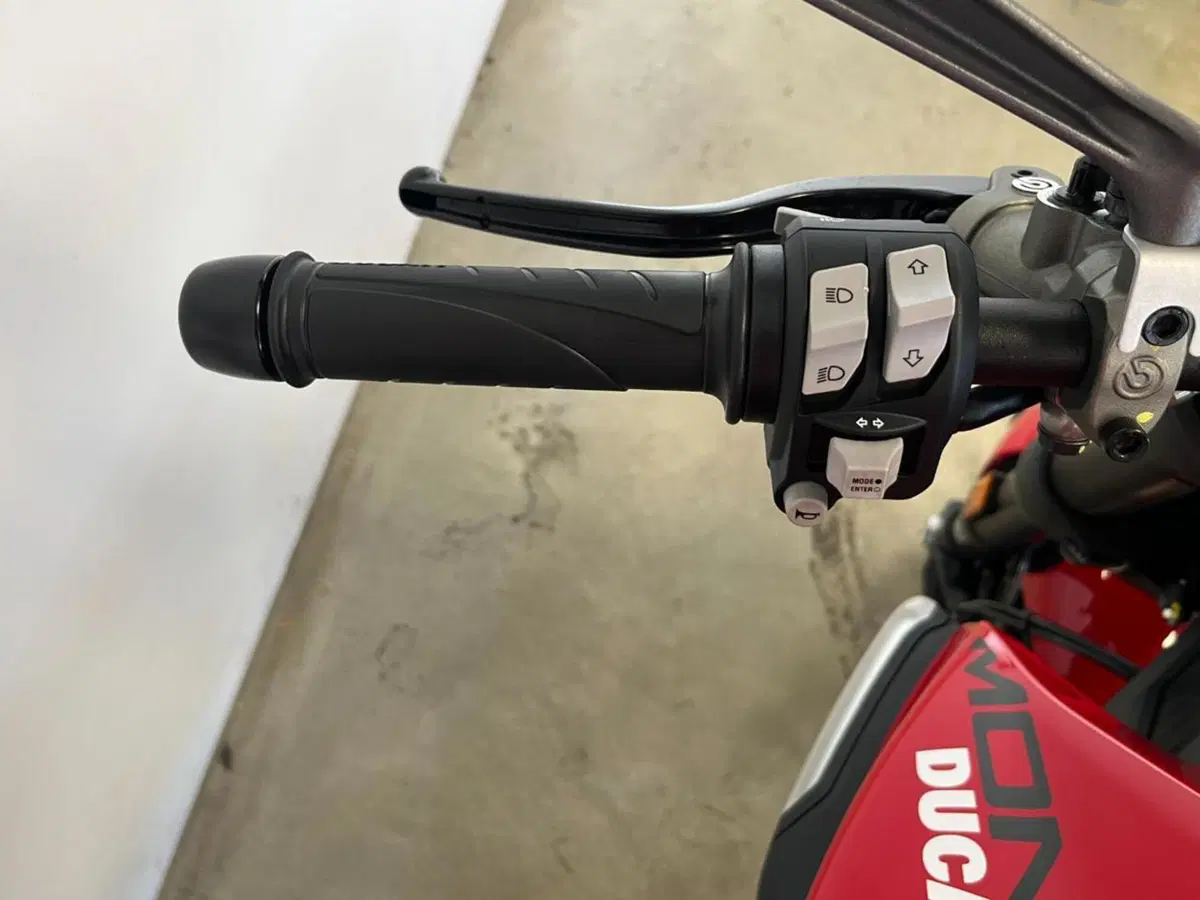 Ducati Monster 937 + (2021 - 25) (11)