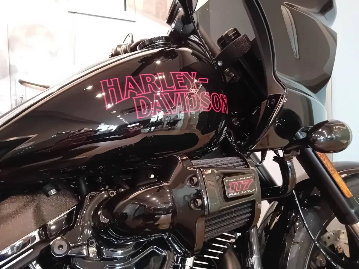 Harley-Davidson Low Rider ST (2025 - 26) (3)
