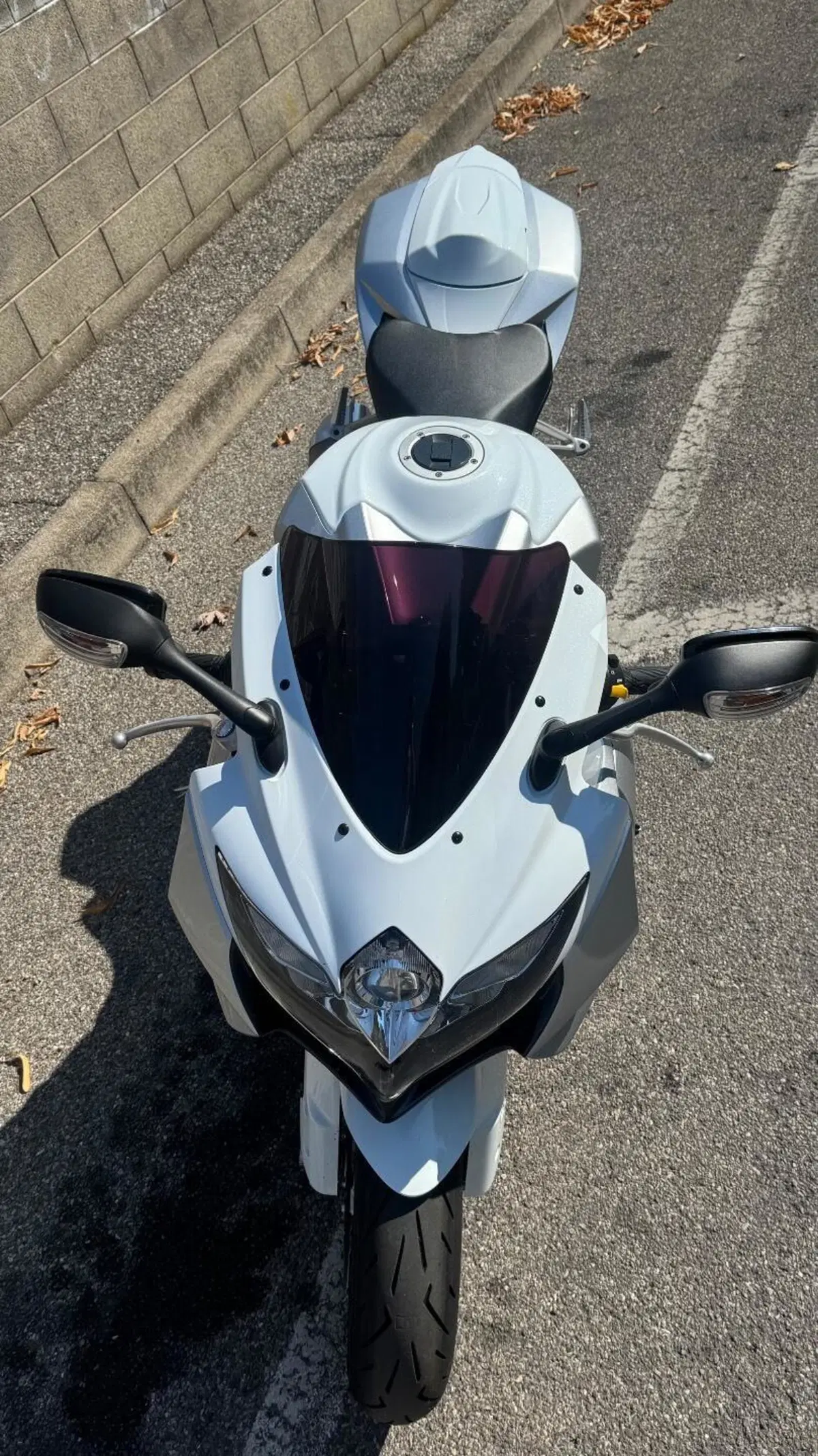 Suzuki GSX R 600 (2008 - 10) (8)