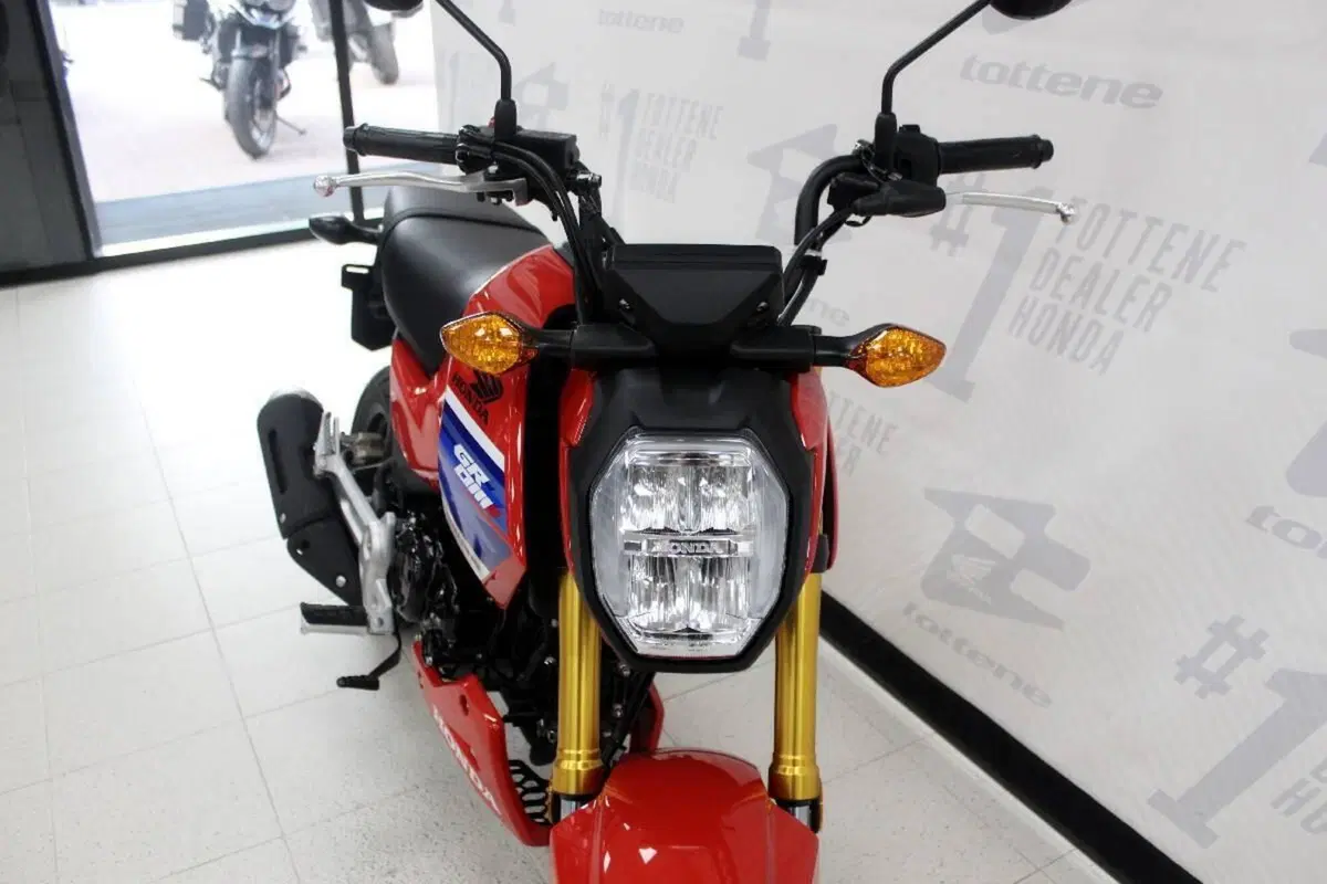 Honda MSX 125 Grom (2021 - 26) (4)